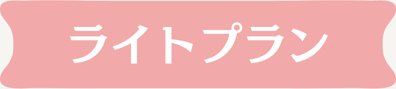 料金プラン：集客できるサイトが
ほしい方におすすめのライトプラン